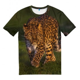 Мужская футболка 3D с принтом Дальневосточный леопард в Курске, 100% полиэфир | прямой крой, круглый вырез горловины, длина до линии бедер | дикая кошка | леопард | природа | хищник