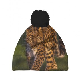 Шапка 3D c помпоном с принтом Дальневосточный леопард в Курске, 100% полиэстер | универсальный размер, печать по всей поверхности изделия | дикая кошка | леопард | природа | хищник