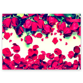 Поздравительная открытка с принтом Розовые розы в Курске, 100% бумага | плотность бумаги 280 г/м2, матовая, на обратной стороне линовка и место для марки
 | Тематика изображения на принте: лепестки | цветы