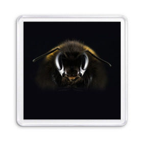 Магнит 55*55 с принтом Пчела в Курске, Пластик | Размер: 65*65 мм; Размер печати: 55*55 мм | глаза | насекомое | оса | пчела