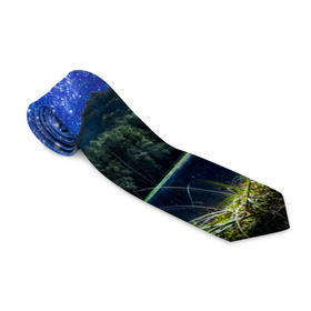 Галстук 3D с принтом Дикая природа в Курске, 100% полиэстер | Длина 148 см; Плотность 150-180 г/м2 | Тематика изображения на принте: горы | деревья | море | пейзаж