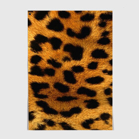 Постер с принтом Леопард в Курске, 100% бумага
 | бумага, плотность 150 мг. Матовая, но за счет высокого коэффициента гладкости имеет небольшой блеск и дает на свету блики, но в отличии от глянцевой бумаги не покрыта лаком | леопард | пятна | шерсть