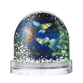 Снежный шар с принтом Аквариумные рыбки в Курске, Пластик | Изображение внутри шара печатается на глянцевой фотобумаге с двух сторон | аквариум | вода | водоросли | природа | рыба | рыбка | туризм