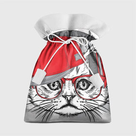 Подарочный 3D мешок с принтом Стильный Котик в Курске, 100% полиэстер | Размер: 29*39 см | Тематика изображения на принте: 