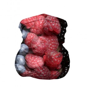 Бандана-труба 3D с принтом Сочные ягоды в Курске, 100% полиэстер, ткань с особыми свойствами — Activecool | плотность 150‒180 г/м2; хорошо тянется, но сохраняет форму | богатый урожай | брусника | ерга | земляника | клубника | клюква | малина | морожка | облепиха | рябина | смородина | сок | сочные плоды | фрукты | черника | черноплодка | шиповник | ягоды