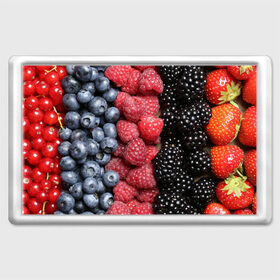 Магнит 45*70 с принтом Сочные ягоды в Курске, Пластик | Размер: 78*52 мм; Размер печати: 70*45 | богатый урожай | брусника | ерга | земляника | клубника | клюква | малина | морожка | облепиха | рябина | смородина | сок | сочные плоды | фрукты | черника | черноплодка | шиповник | ягоды