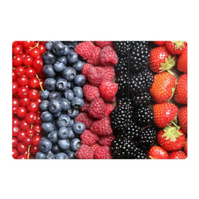 Магнитный плакат 3Х2 с принтом Сочные ягоды в Курске, Полимерный материал с магнитным слоем | 6 деталей размером 9*9 см | богатый урожай | брусника | ерга | земляника | клубника | клюква | малина | морожка | облепиха | рябина | смородина | сок | сочные плоды | фрукты | черника | черноплодка | шиповник | ягоды