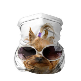 Бандана-труба 3D с принтом Модница в Курске, 100% полиэстер, ткань с особыми свойствами — Activecool | плотность 150‒180 г/м2; хорошо тянется, но сохраняет форму | fashion | животное | красавица | лучший друг | модница | няша | очки | причёска | собака | собачка | щенок | щеночек