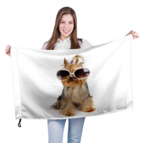 Флаг 3D с принтом Модница в Курске, 100% полиэстер | плотность ткани — 95 г/м2, размер — 67 х 109 см. Принт наносится с одной стороны | fashion | животное | красавица | лучший друг | модница | няша | очки | причёска | собака | собачка | щенок | щеночек