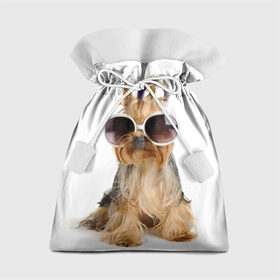 Подарочный 3D мешок с принтом Модница в Курске, 100% полиэстер | Размер: 29*39 см | Тематика изображения на принте: fashion | животное | красавица | лучший друг | модница | няша | очки | причёска | собака | собачка | щенок | щеночек