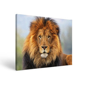 Холст прямоугольный с принтом Красавец лев в Курске, 100% ПВХ |  | lion | грива | дикая кошка | добыча | животное | зверь | клыки | когти | король джунглей | лев | мясо | хищник | царь зверей