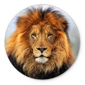 Коврик круглый с принтом Красавец лев в Курске, резина и полиэстер | круглая форма, изображение наносится на всю лицевую часть | lion | грива | дикая кошка | добыча | животное | зверь | клыки | когти | король джунглей | лев | мясо | хищник | царь зверей