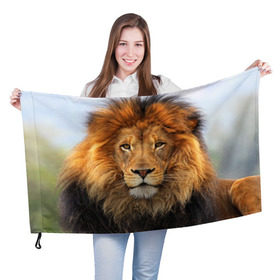 Флаг 3D с принтом Красавец лев в Курске, 100% полиэстер | плотность ткани — 95 г/м2, размер — 67 х 109 см. Принт наносится с одной стороны | lion | грива | дикая кошка | добыча | животное | зверь | клыки | когти | король джунглей | лев | мясо | хищник | царь зверей