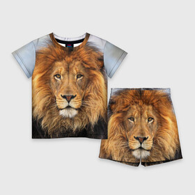 Детский костюм с шортами 3D с принтом Красавец лев в Курске,  |  | Тематика изображения на принте: lion | грива | дикая кошка | добыча | животное | зверь | клыки | когти | король джунглей | лев | мясо | хищник | царь зверей