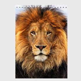 Скетчбук с принтом Красавец лев в Курске, 100% бумага
 | 48 листов, плотность листов — 100 г/м2, плотность картонной обложки — 250 г/м2. Листы скреплены сверху удобной пружинной спиралью | lion | грива | дикая кошка | добыча | животное | зверь | клыки | когти | король джунглей | лев | мясо | хищник | царь зверей