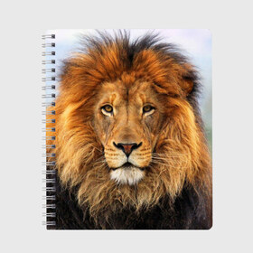 Тетрадь с принтом Красавец лев в Курске, 100% бумага | 48 листов, плотность листов — 60 г/м2, плотность картонной обложки — 250 г/м2. Листы скреплены сбоку удобной пружинной спиралью. Уголки страниц и обложки скругленные. Цвет линий — светло-серый
 | Тематика изображения на принте: lion | грива | дикая кошка | добыча | животное | зверь | клыки | когти | король джунглей | лев | мясо | хищник | царь зверей