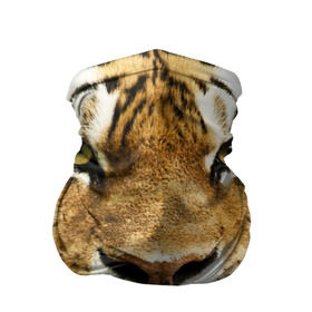 Бандана-труба 3D с принтом Амурский тигр в Курске, 100% полиэстер, ткань с особыми свойствами — Activecool | плотность 150‒180 г/м2; хорошо тянется, но сохраняет форму | амурский | дикая кошка | добыча | животное | зверь | клыки | когти | мясо | тигр | уссурийский | хищник