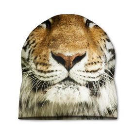 Шапка 3D с принтом Амурский тигр в Курске, 100% полиэстер | универсальный размер, печать по всей поверхности изделия | амурский | дикая кошка | добыча | животное | зверь | клыки | когти | мясо | тигр | уссурийский | хищник