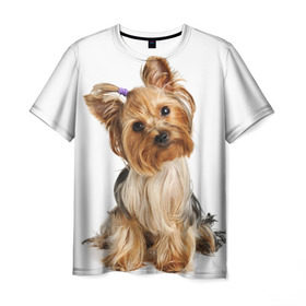 Мужская футболка 3D с принтом Красотка в Курске, 100% полиэфир | прямой крой, круглый вырез горловины, длина до линии бедер | fashion | животное | красавица | лучший друг | модница | няша | причёска | собака | собачка | щенок | щеночек