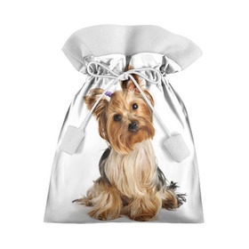 Подарочный 3D мешок с принтом Красотка в Курске, 100% полиэстер | Размер: 29*39 см | fashion | животное | красавица | лучший друг | модница | няша | причёска | собака | собачка | щенок | щеночек