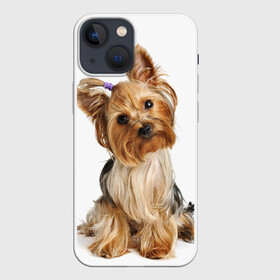 Чехол для iPhone 13 mini с принтом Красотка в Курске,  |  | Тематика изображения на принте: fashion | животное | красавица | лучший друг | модница | няша | причёска | собака | собачка | щенок | щеночек