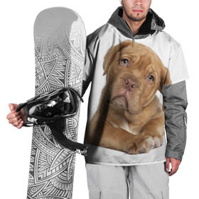 Накидка на куртку 3D с принтом Грустный щенок в Курске, 100% полиэстер |  | животное | лучший друг | милаха | няша | собака | собачка | щенок | щеночек