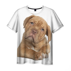 Мужская футболка 3D с принтом Грустный щенок в Курске, 100% полиэфир | прямой крой, круглый вырез горловины, длина до линии бедер | животное | лучший друг | милаха | няша | собака | собачка | щенок | щеночек