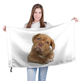 Флаг 3D с принтом Грустный щенок в Курске, 100% полиэстер | плотность ткани — 95 г/м2, размер — 67 х 109 см. Принт наносится с одной стороны | животное | лучший друг | милаха | няша | собака | собачка | щенок | щеночек