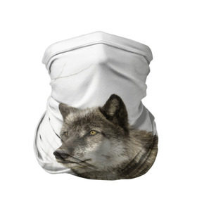 Бандана-труба 3D с принтом Волк во весь рост в Курске, 100% полиэстер, ткань с особыми свойствами — Activecool | плотность 150‒180 г/м2; хорошо тянется, но сохраняет форму | волк | хищник