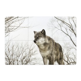 Магнитный плакат 3Х2 с принтом Волк во весь рост в Курске, Полимерный материал с магнитным слоем | 6 деталей размером 9*9 см | Тематика изображения на принте: волк | хищник