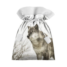 Подарочный 3D мешок с принтом Волк во весь рост в Курске, 100% полиэстер | Размер: 29*39 см | волк | хищник