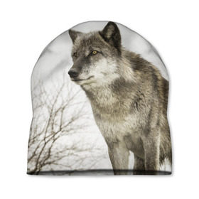 Шапка 3D с принтом Волк во весь рост в Курске, 100% полиэстер | универсальный размер, печать по всей поверхности изделия | волк | хищник