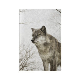 Обложка для паспорта матовая кожа с принтом Волк во весь рост в Курске, натуральная матовая кожа | размер 19,3 х 13,7 см; прозрачные пластиковые крепления | волк | хищник