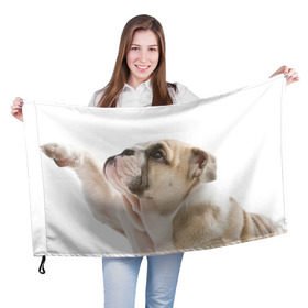 Флаг 3D с принтом Бульдог в Курске, 100% полиэстер | плотность ткани — 95 г/м2, размер — 67 х 109 см. Принт наносится с одной стороны | бульдог | бульдоги | мопс | мопсы | песик | песики | собака | собаки