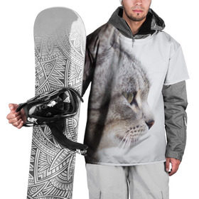 Накидка на куртку 3D с принтом Серый кот в Курске, 100% полиэстер |  | взгляд | глаза | голова животного | киска | кот | котёнок | кошка | прикольные картинки