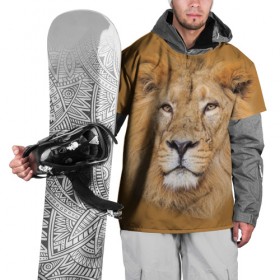 Накидка на куртку 3D с принтом Лев в Курске, 100% полиэстер |  | взгляд | животные | лев | природа | хищники