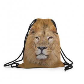 Рюкзак-мешок 3D с принтом Лев в Курске, 100% полиэстер | плотность ткани — 200 г/м2, размер — 35 х 45 см; лямки — толстые шнурки, застежка на шнуровке, без карманов и подкладки | взгляд | животные | лев | природа | хищники