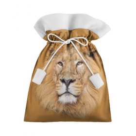 Подарочный 3D мешок с принтом Лев в Курске, 100% полиэстер | Размер: 29*39 см | взгляд | животные | лев | природа | хищники