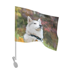 Флаг для автомобиля с принтом Хаски в Курске, 100% полиэстер | Размер: 30*21 см | лайка | маламут | песик | песики | собака | собаки | хаски