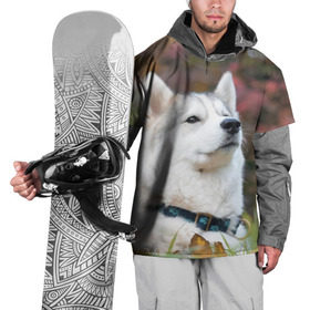 Накидка на куртку 3D с принтом Хаски в Курске, 100% полиэстер |  | Тематика изображения на принте: лайка | маламут | песик | песики | собака | собаки | хаски
