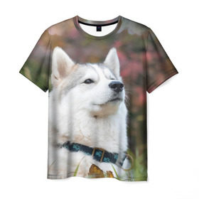Мужская футболка 3D с принтом Хаски в Курске, 100% полиэфир | прямой крой, круглый вырез горловины, длина до линии бедер | лайка | маламут | песик | песики | собака | собаки | хаски