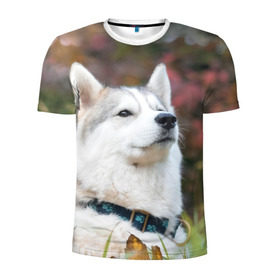 Мужская футболка 3D спортивная с принтом Хаски в Курске, 100% полиэстер с улучшенными характеристиками | приталенный силуэт, круглая горловина, широкие плечи, сужается к линии бедра | лайка | маламут | песик | песики | собака | собаки | хаски