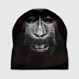 Шапка 3D с принтом обезьяна в Курске, 100% полиэстер | универсальный размер, печать по всей поверхности изделия | Тематика изображения на принте: взгляд | голова | животные | обезьяна | природа