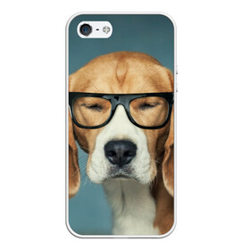 Чехол для iPhone 5/5S матовый с принтом Бигль в Курске, Силикон | Область печати: задняя сторона чехла, без боковых панелей | бигль | гончая | дворняжка | охотничья | песик | песики | собака | собаки