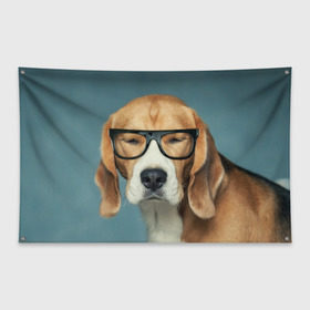 Флаг-баннер с принтом Бигль в Курске, 100% полиэстер | размер 67 х 109 см, плотность ткани — 95 г/м2; по краям флага есть четыре люверса для крепления | бигль | гончая | дворняжка | охотничья | песик | песики | собака | собаки