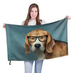 Флаг 3D с принтом Бигль в Курске, 100% полиэстер | плотность ткани — 95 г/м2, размер — 67 х 109 см. Принт наносится с одной стороны | бигль | гончая | дворняжка | охотничья | песик | песики | собака | собаки