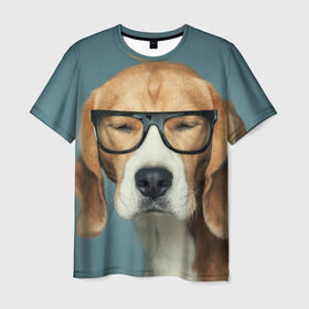Мужская футболка 3D с принтом Бигль в Курске, 100% полиэфир | прямой крой, круглый вырез горловины, длина до линии бедер | бигль | гончая | дворняжка | охотничья | песик | песики | собака | собаки