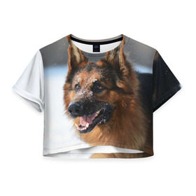 Женская футболка 3D укороченная с принтом Длинношерстная овчарка в Курске, 100% полиэстер | круглая горловина, длина футболки до линии талии, рукава с отворотами | овчарка | овчарки | песик | песики | собака | собаки