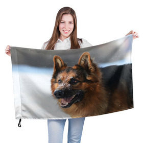 Флаг 3D с принтом Длинношерстная овчарка в Курске, 100% полиэстер | плотность ткани — 95 г/м2, размер — 67 х 109 см. Принт наносится с одной стороны | овчарка | овчарки | песик | песики | собака | собаки