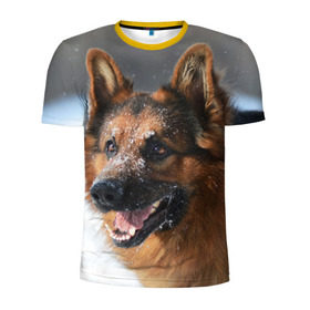 Мужская футболка 3D спортивная с принтом Длинношерстная овчарка в Курске, 100% полиэстер с улучшенными характеристиками | приталенный силуэт, круглая горловина, широкие плечи, сужается к линии бедра | овчарка | овчарки | песик | песики | собака | собаки